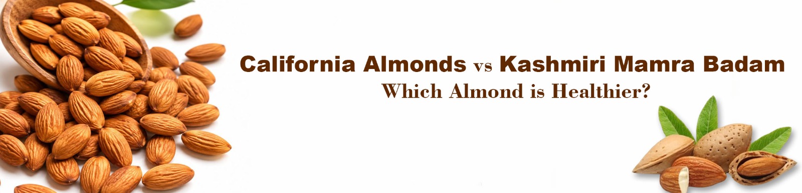 California Almonds vs Kashmiri Mamra Badam – Which Almond is Healthier?