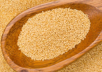 Amarnath Seeds