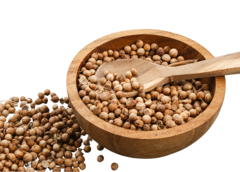 Coriander Seed Dhania Sabut