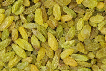 Green kishmish (Sunder ghani)